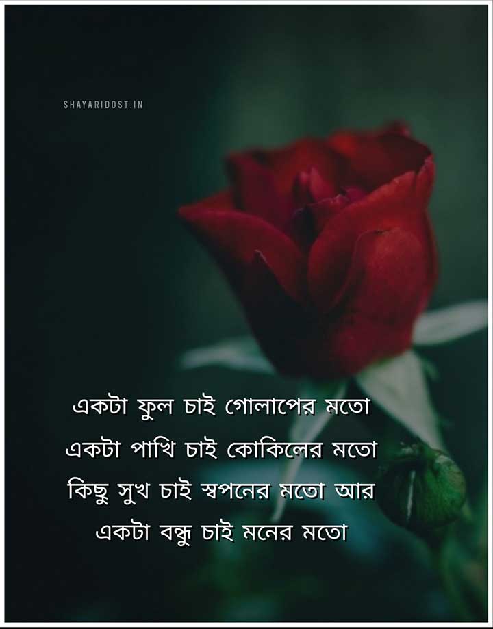 Best Friend er Jonno Bengali Friendship Poem