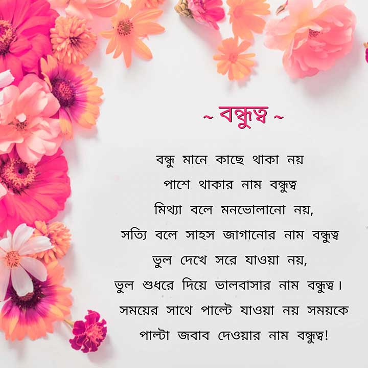 Bondhutto Niye Best Kobita Line in Bangla Medium