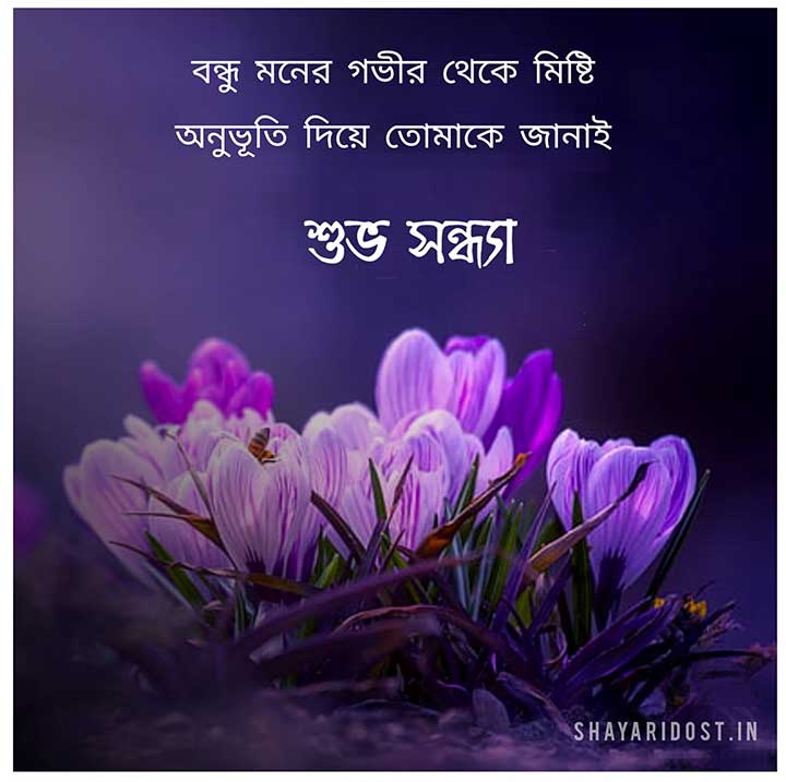 Suvo Sondha SMS for Friend, Good Evening Message in Bengali