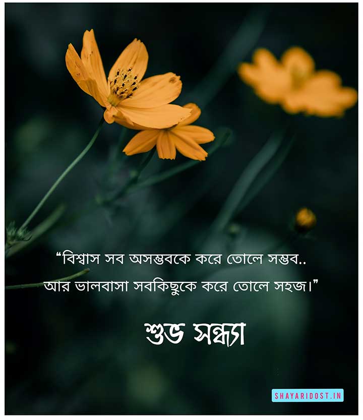 Good Evening Quotes in Bengali