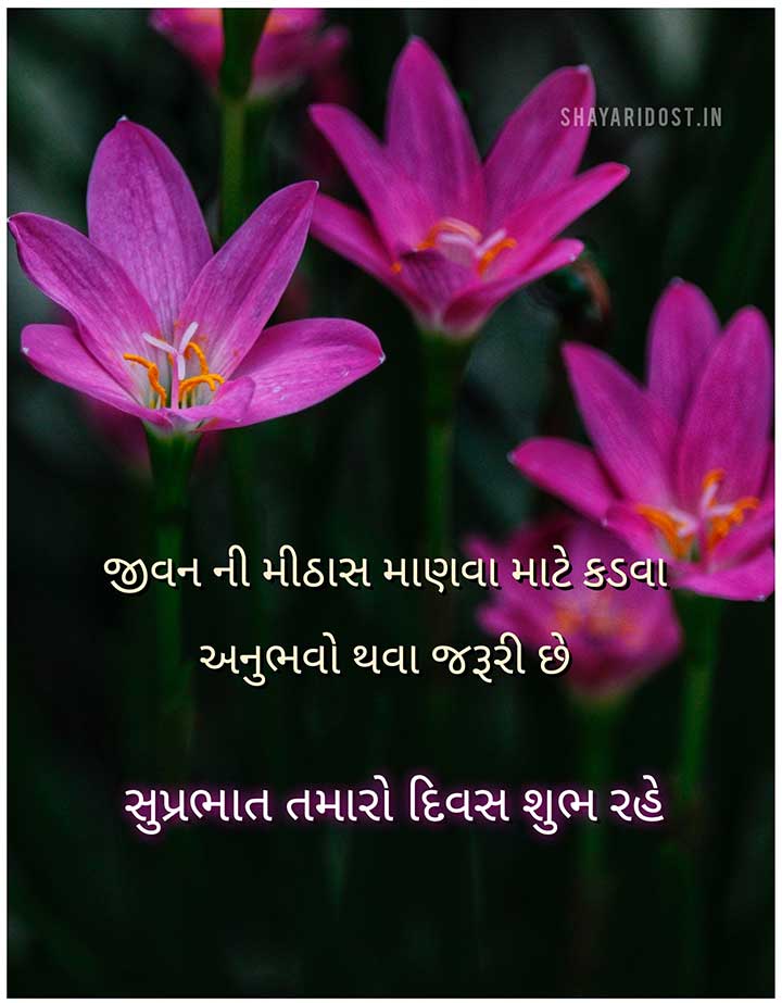 Good Morning Quotes in Gujarati
