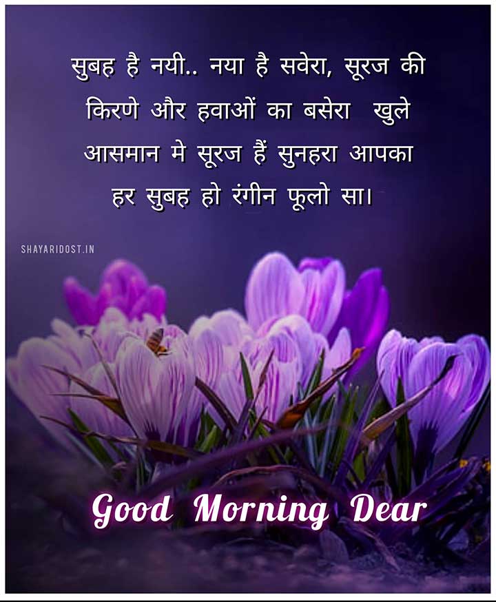 Romantic Good Morning Love Shayari in Hindi