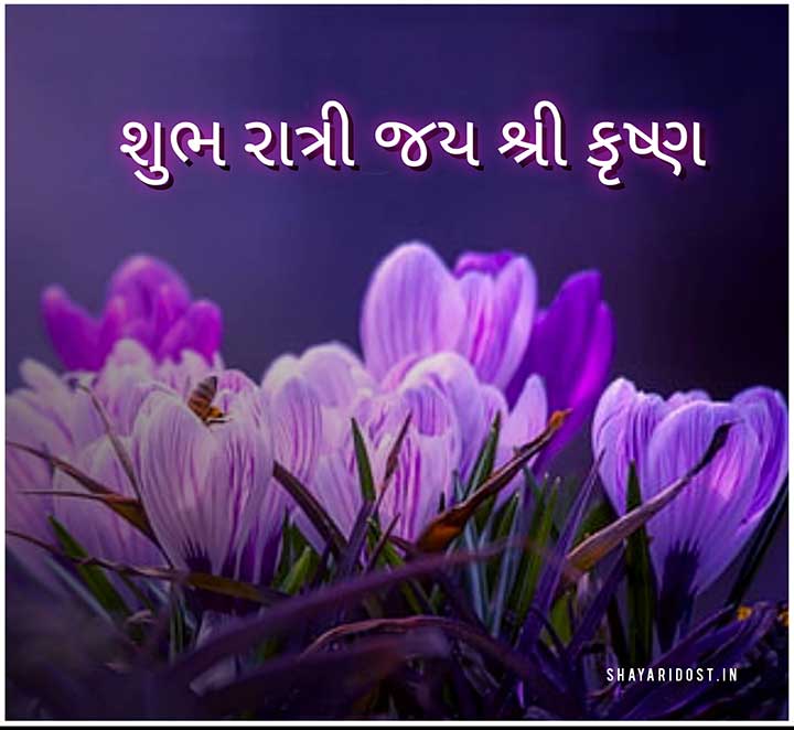 You are currently viewing BEST Good Night Gujarati Quotes 2024