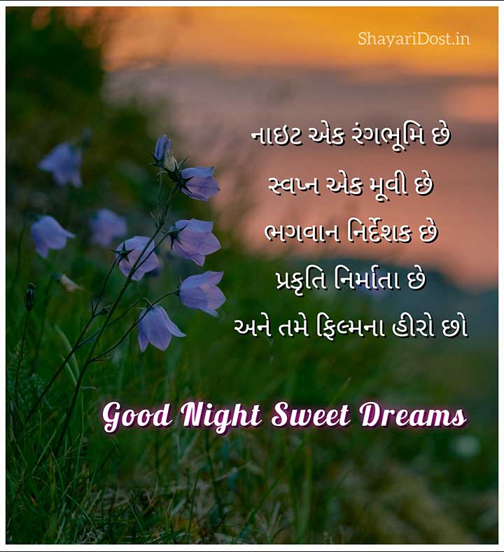 Good Night Suvichar Gujarati Text for Status