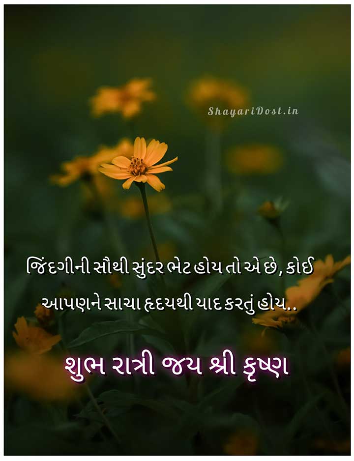 Gujarati Shubh Ratri Suvichar Quotes