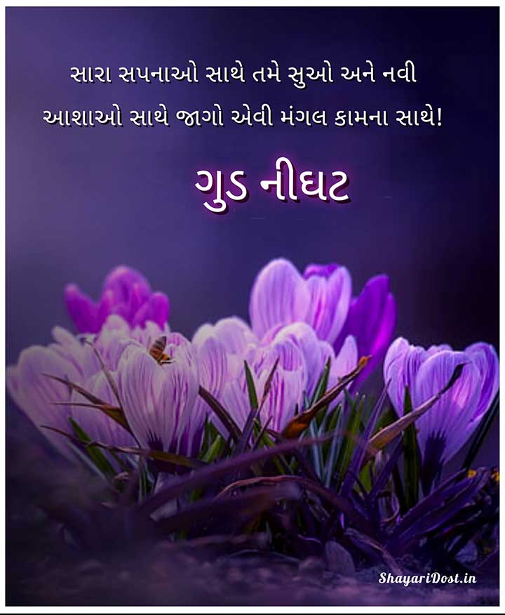 Gujarati Good Night Message, Shubh Ratri