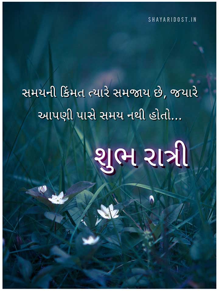 Good Night Gujarati Quotes
