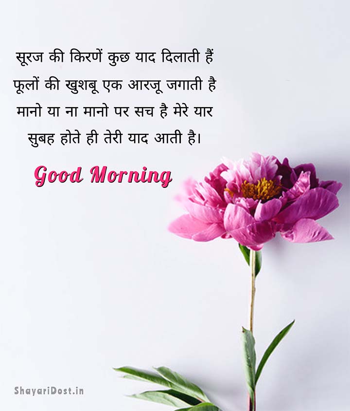 Romantic Good Morning Shayari in Hindi for Girlfriend