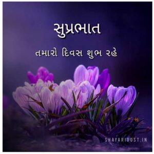 Read more about the article Good Morning Quotes in Gujarati | ગુડ મોર્નિંગ શાયરી સંદેશ