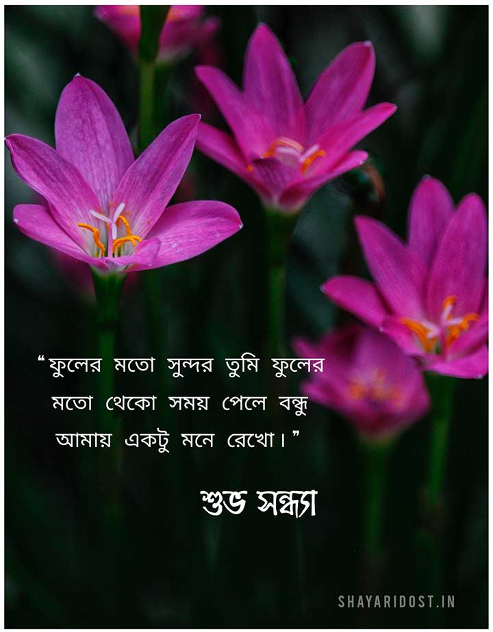 Suvo Sondha Image for Friend in Bengali Font