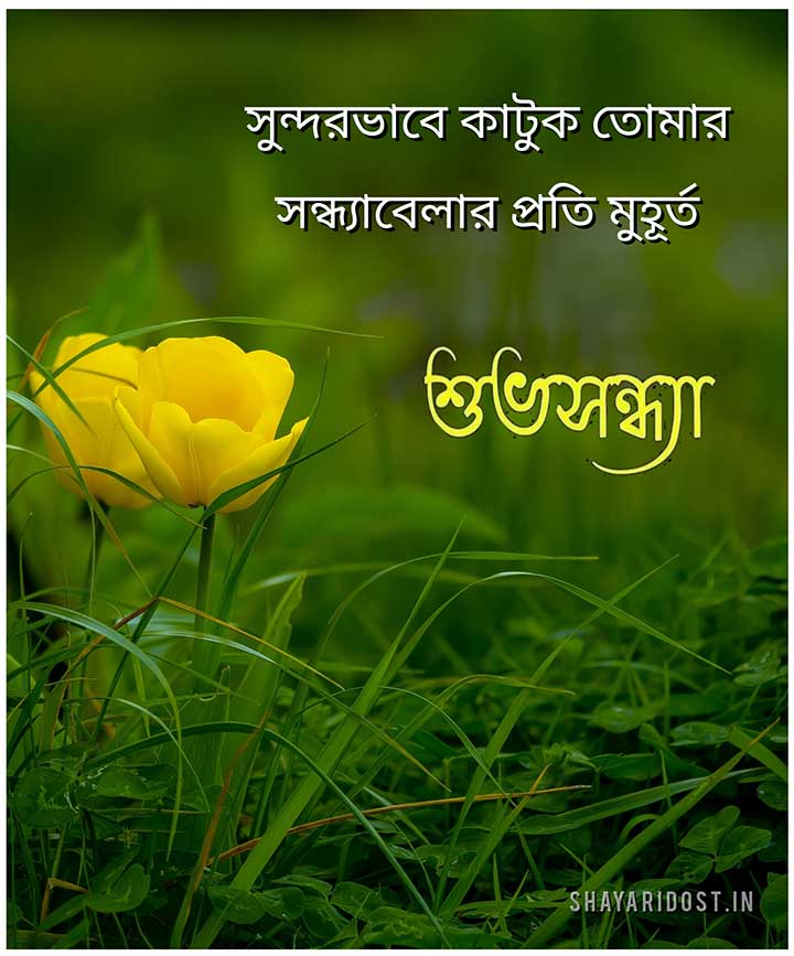 Good Evening Bangla Wish Image