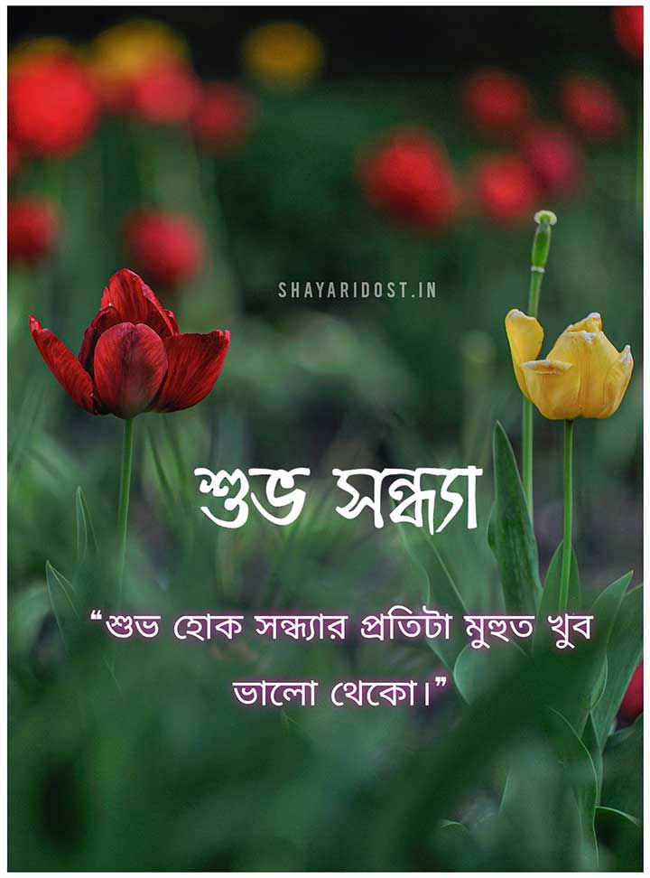 Good Evening Images in Bengali for Wishes