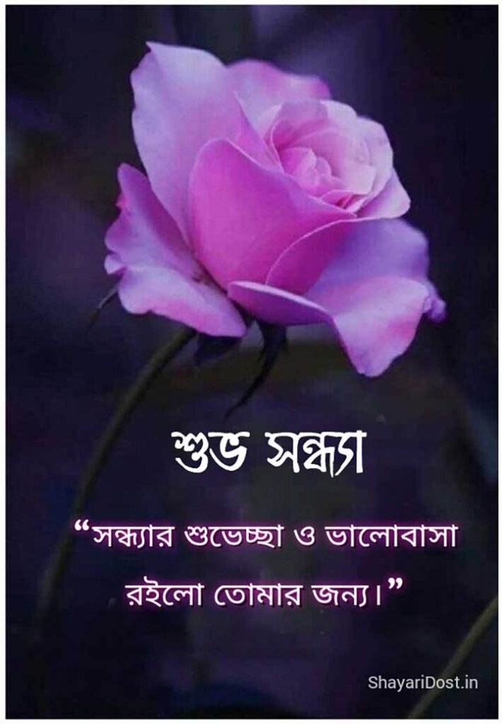 Subho Sondha Shubhechha Image Bangla