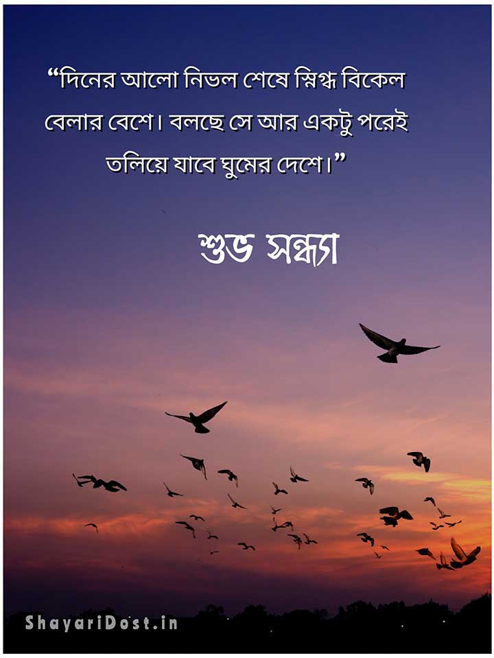 Good Evening SMS in Bengali for Quotes