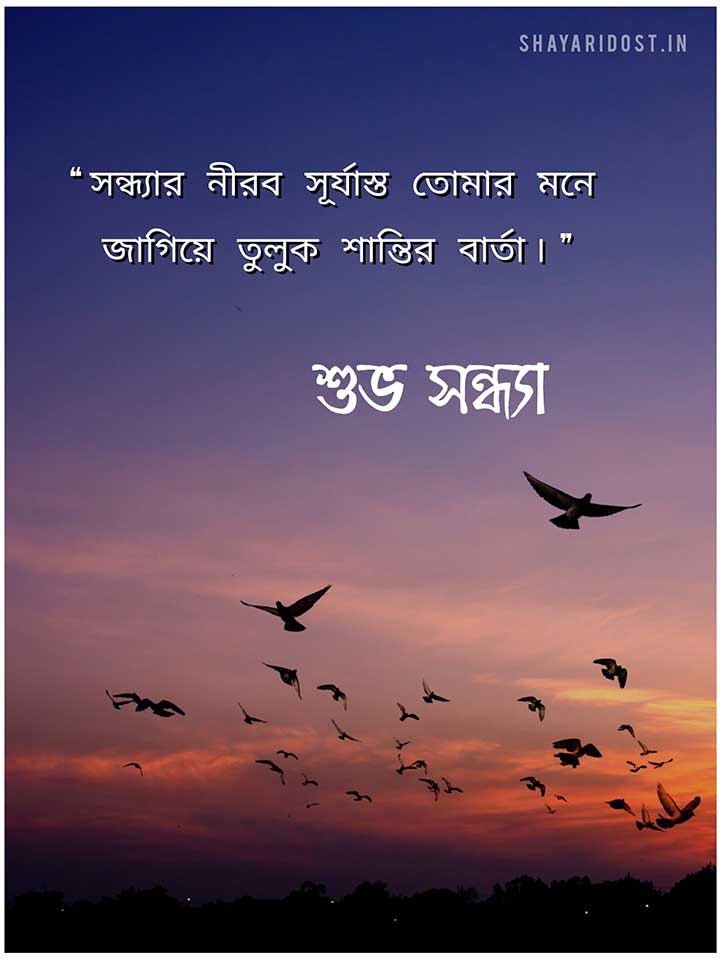 Good Evening Photo in Bengali Font for Message