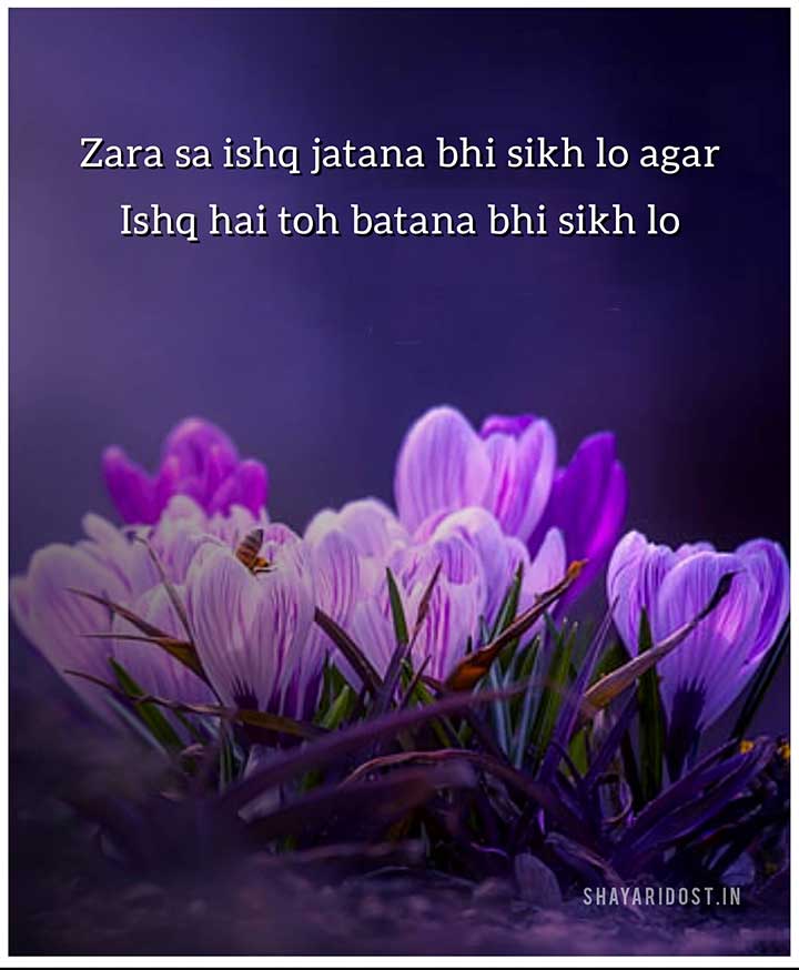 Love Shayari Images in English Font