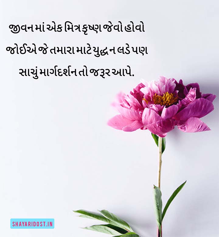Latest Dosti Gujarati Shayari Quotes for Status