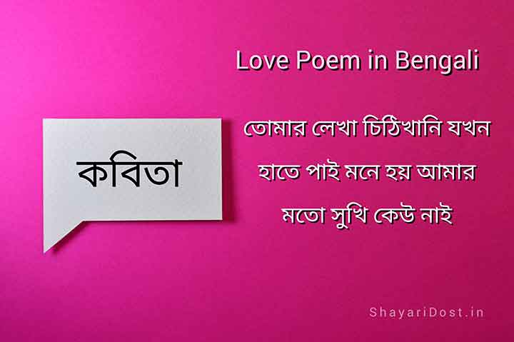 You are currently viewing 199+ Bengali Love Poem | Romantic Love Poem in Bangla