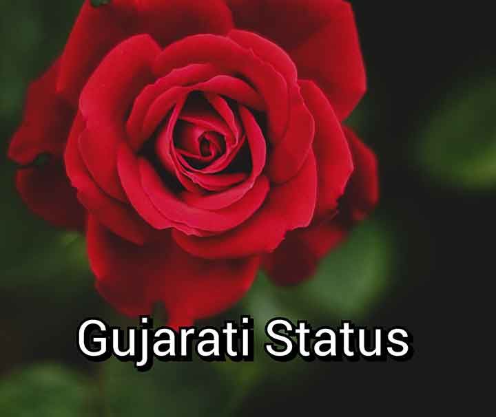 You are currently viewing 121+ Attitude Status in Gujarati | ગુજરાતી સ્ટેટ્સ 2024