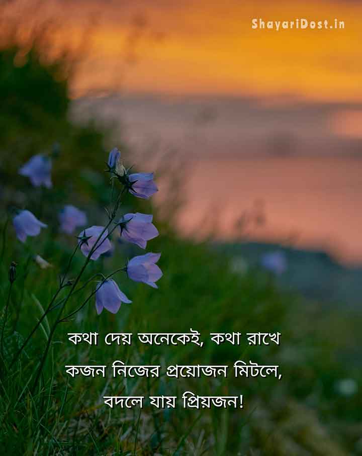 Bengali caption for Fb 