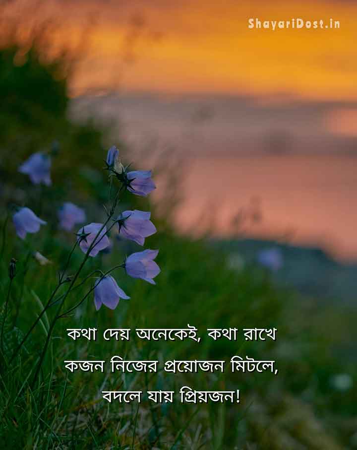 Bengali Caption For Fb Captions Quotes