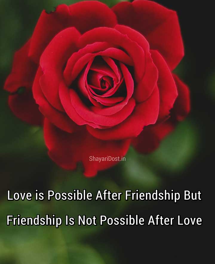 English Love Shayari Lines on Friendship
