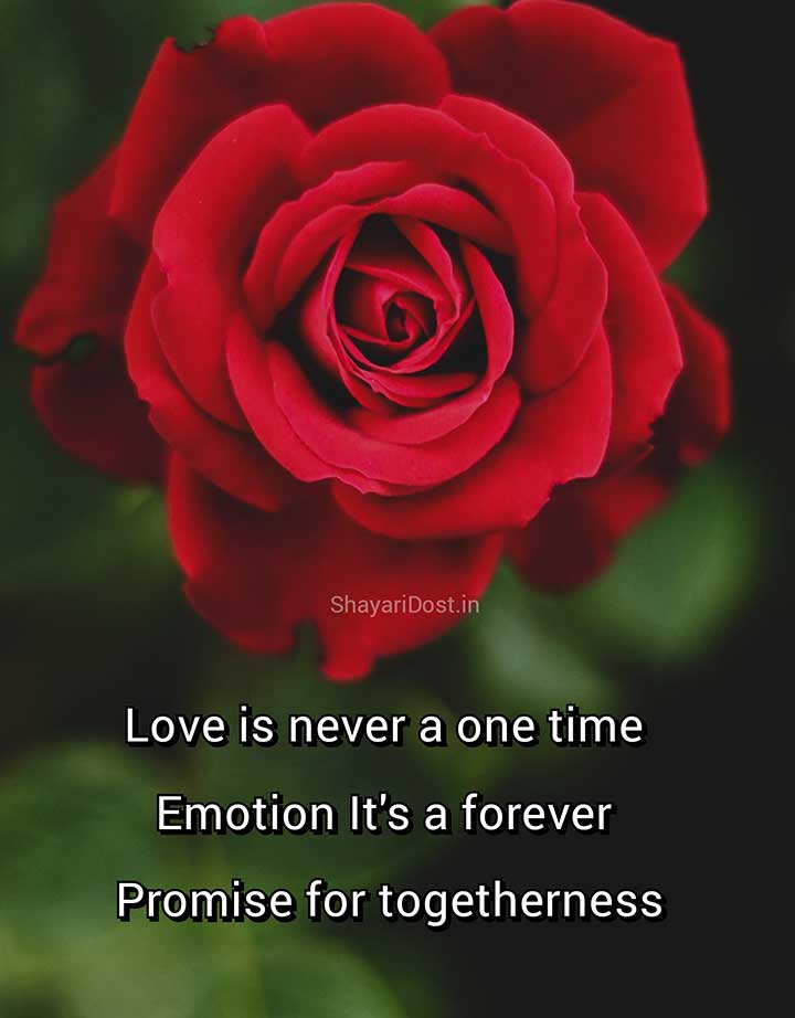 Romantic English Love Shayari for Gf with Rose Background
