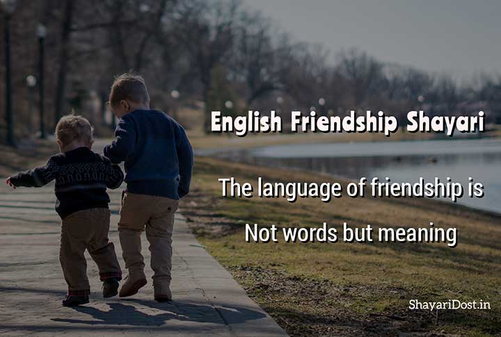 shayari on friendship for facebook in english