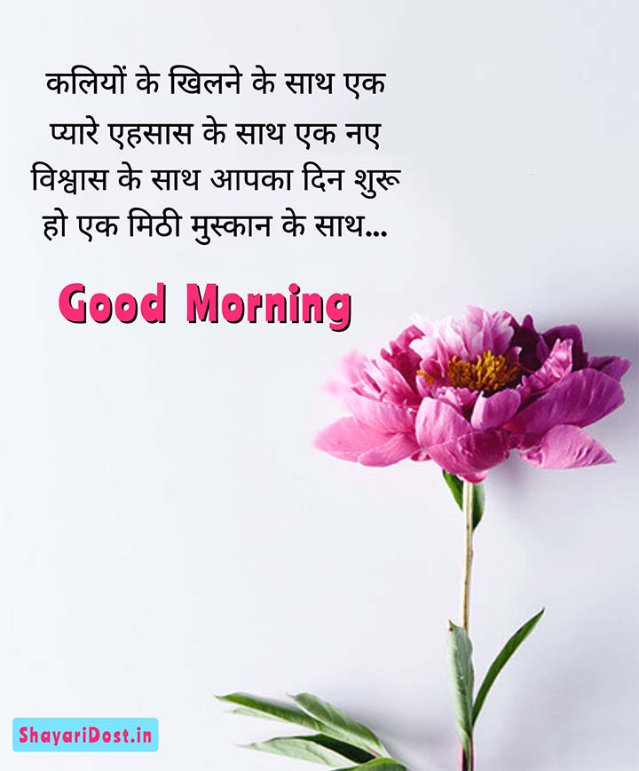 Love Good Morning Shayari Hindi Mein