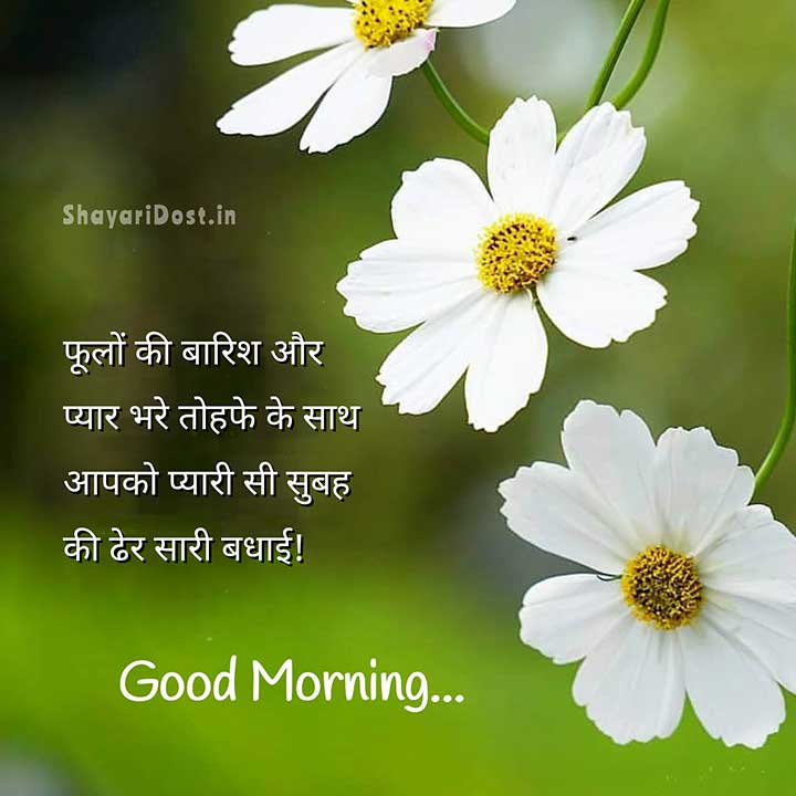 Good Morning Suprabhat Shayari Status