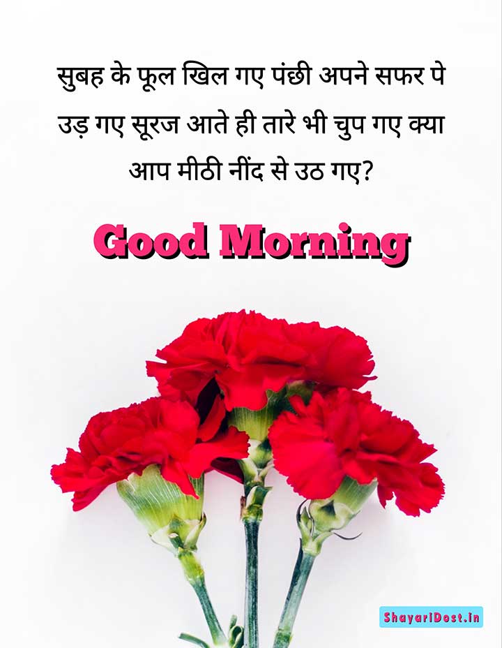 Good Morning Suprabhat Shayari in Hindi for Wishes in Morning
