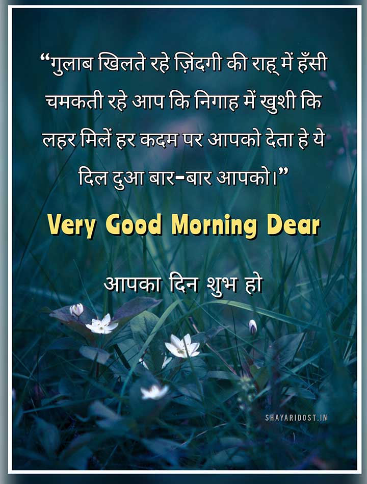 Very Good Morning Shayari in Hindi Medium for Message 