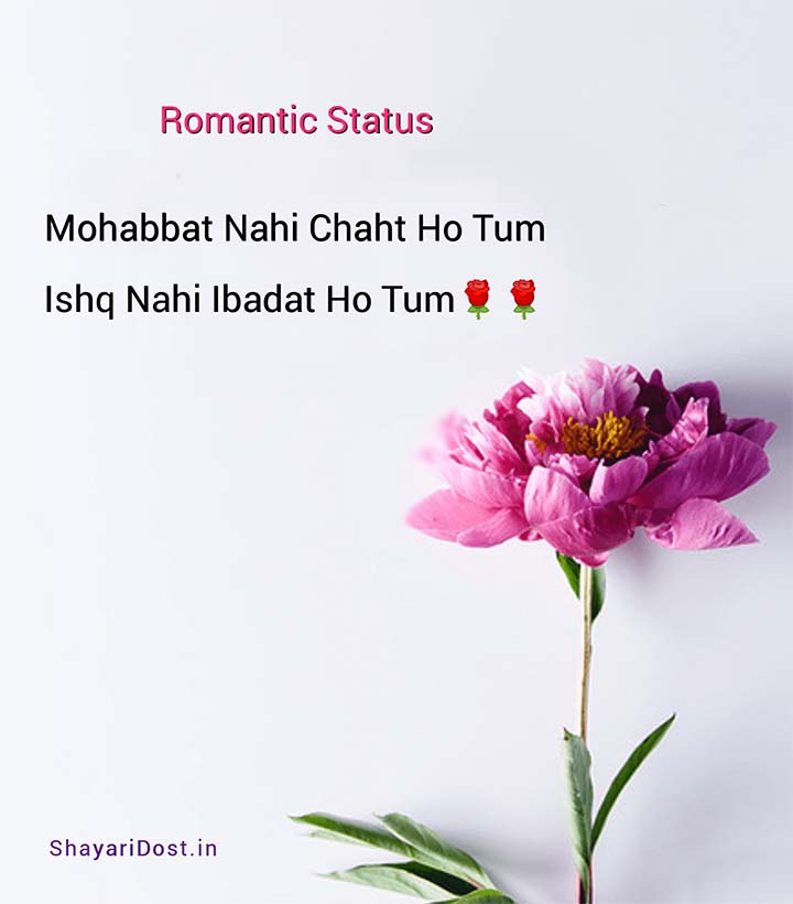 Hindi Romantic Status in English Font