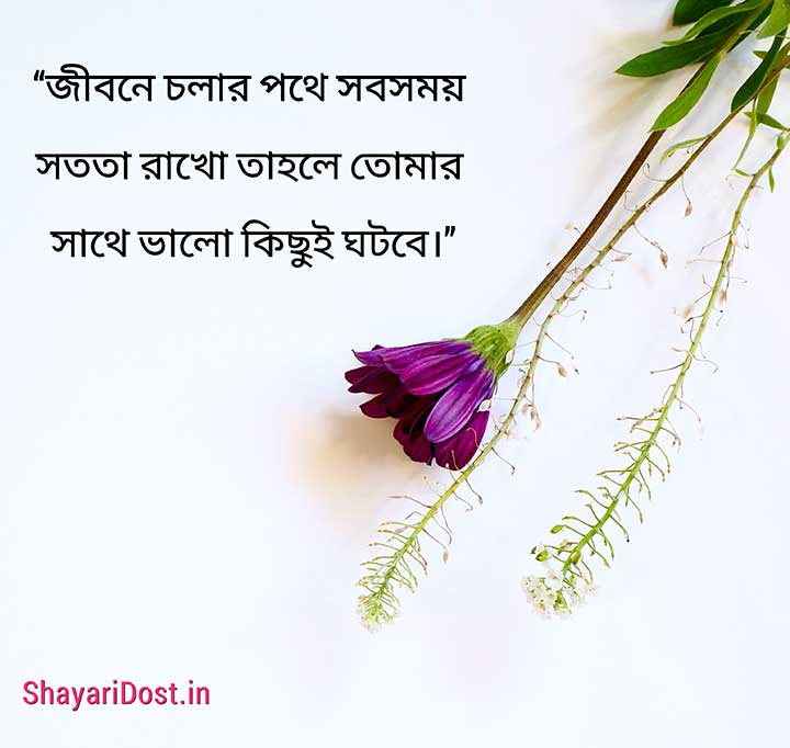 Bangla Quotes for Status