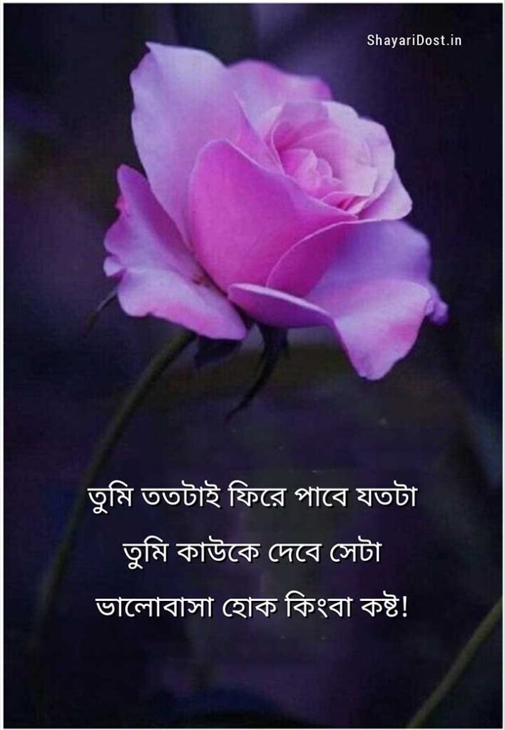 Real Life Quotes in Bengali for Whatsapp Status