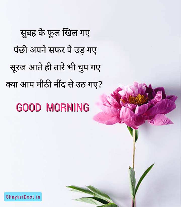 Good Morning Message in Hindi