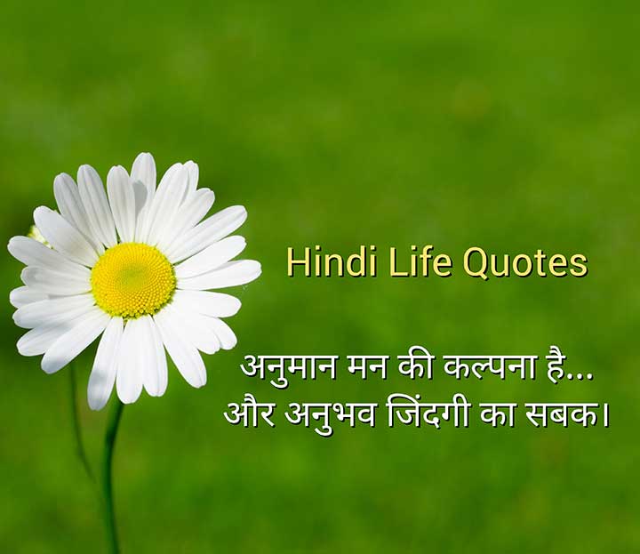 Hindi Life Quotes Status