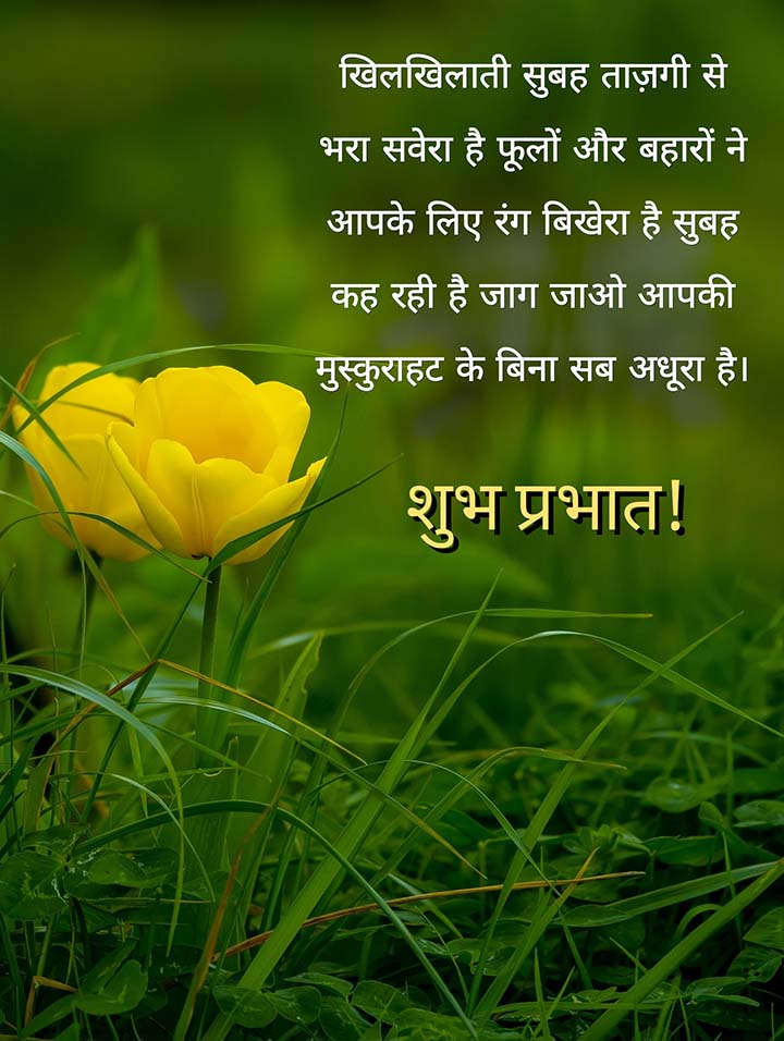 Hindi Good Morning SMS 