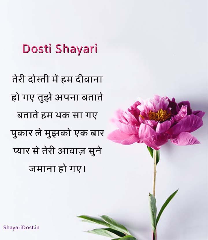 Best Dosti Shayari For Best Friend