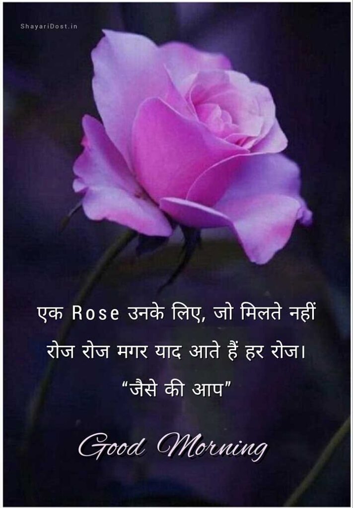 Good Morning Quotes in Hindi with Rose