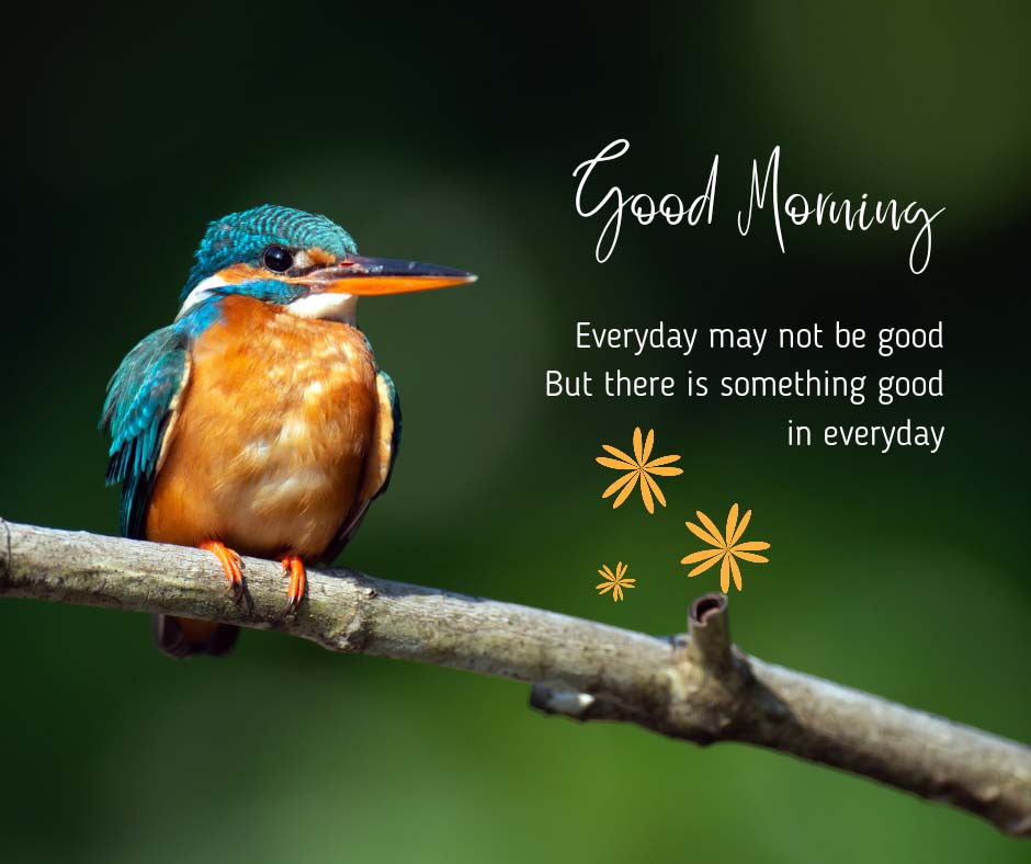 Good Morning Images With Birds