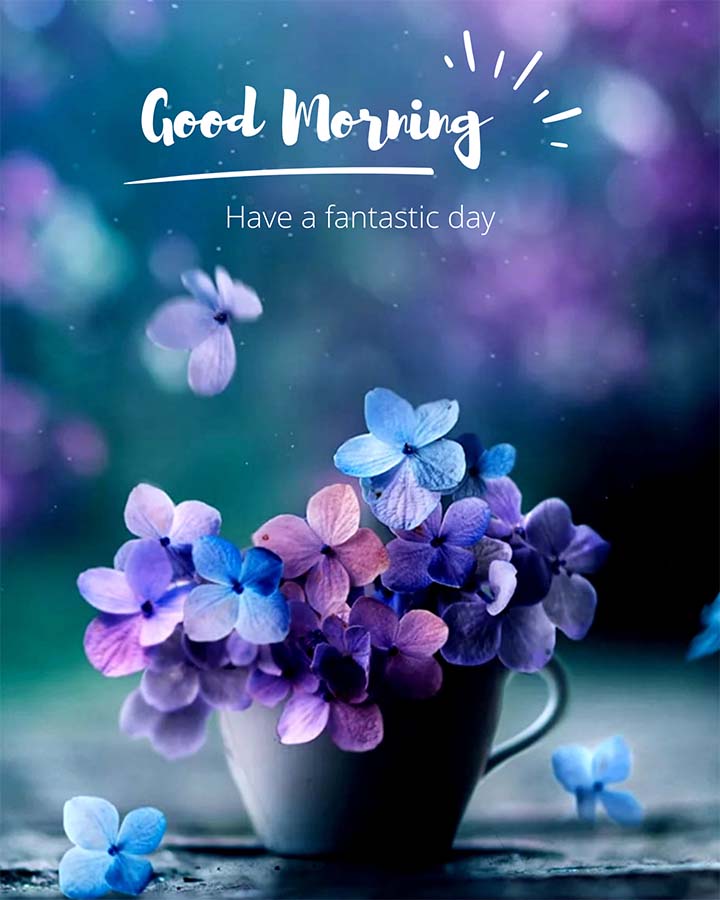 Colorful Flowers with Good Morning Images