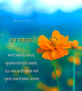 Good Morning Marathi Photo With Flower