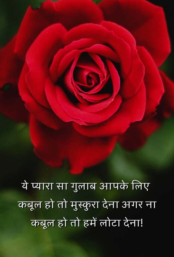 Good Night Hindi With Rose