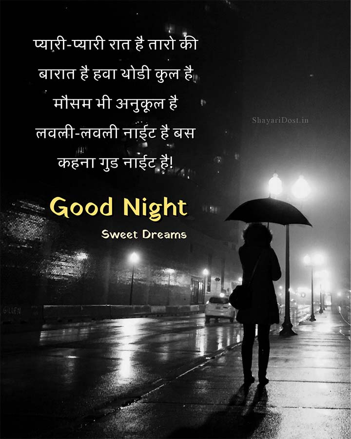 Best Good Night Message in Hindi