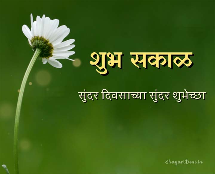 You are currently viewing Good Morning Quotes in Marathi | शुभ सकाळ शुभेच्छा मराठी मध्ये