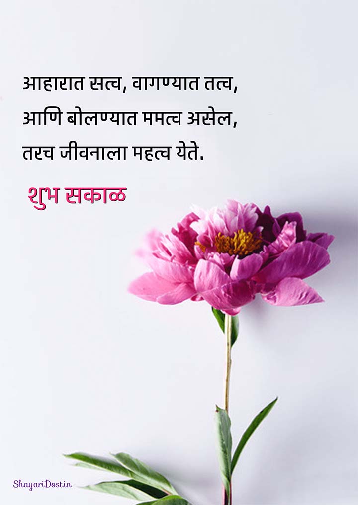 Good Morning Love Quotes in Marathi With Rose Flower