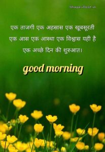 450+ Good Morning Quotes & Wishes in Hindi | सुप्रभात सुविचार
