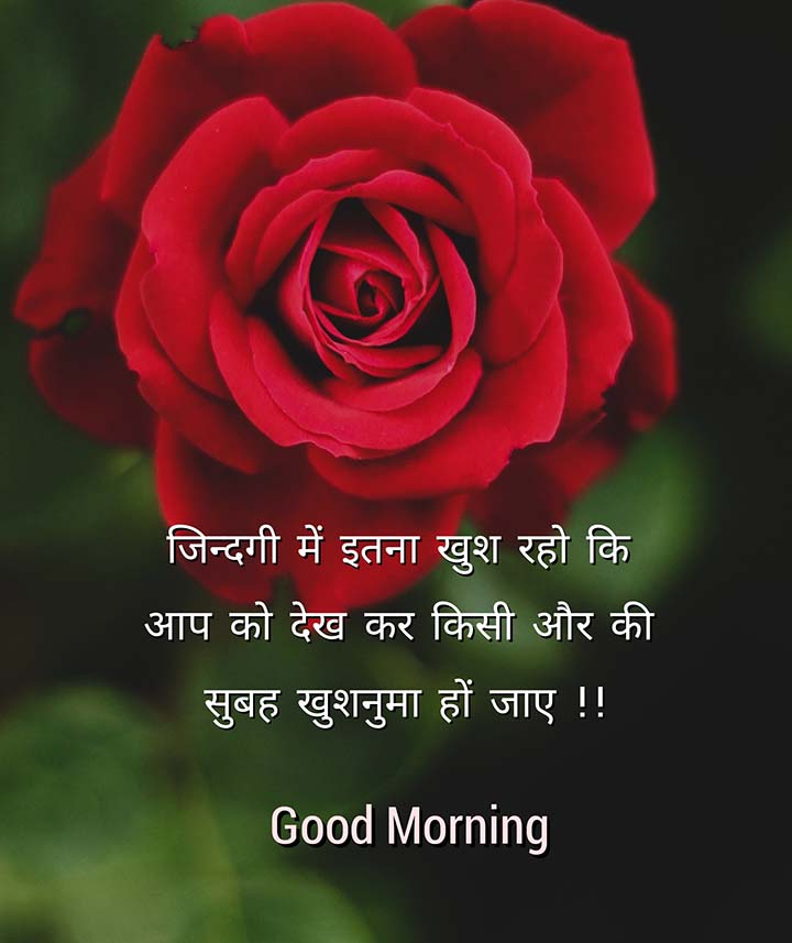 Hindi Good Morning Quotes For Love