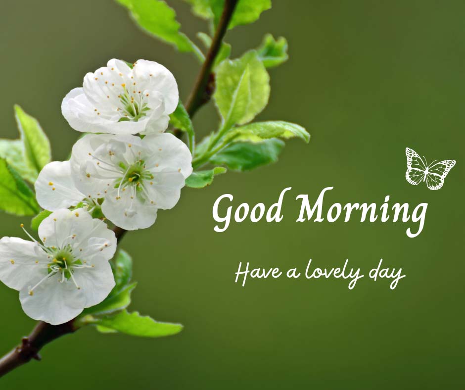 Good Morning Images on Cute Flower Background